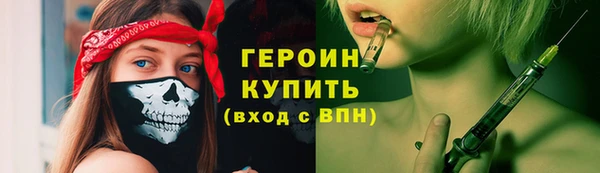 хмурый Арсеньев