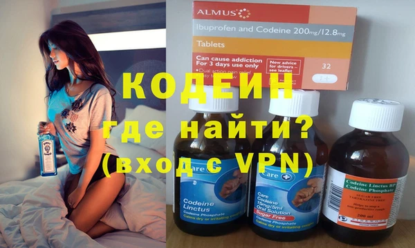 хмурый Арсеньев