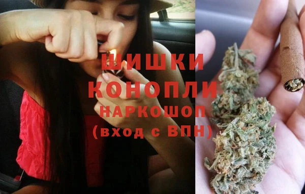 твердый Аркадак