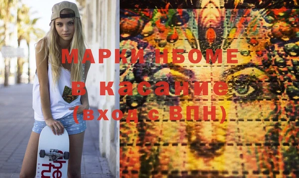 хмурый Арсеньев