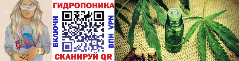 Каннабис индика  Межгорье 